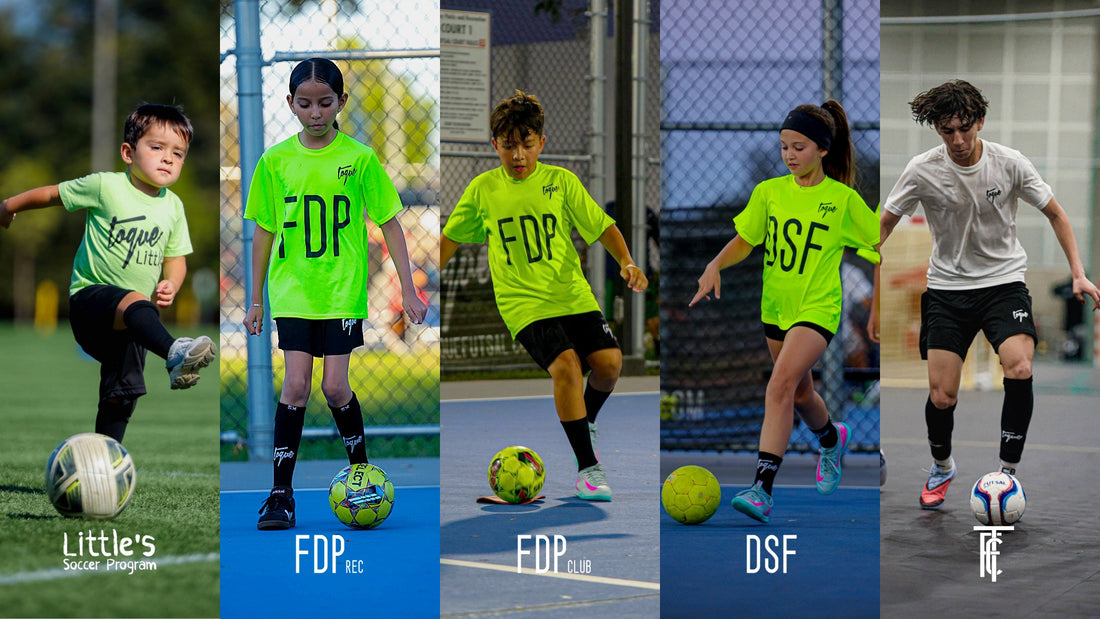 DEVELOPMENT PROGRAMS